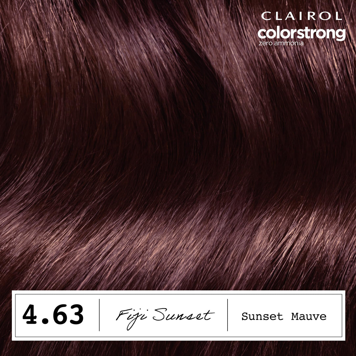 Clairol ColorStrong teinture capillaire avec gants et notice