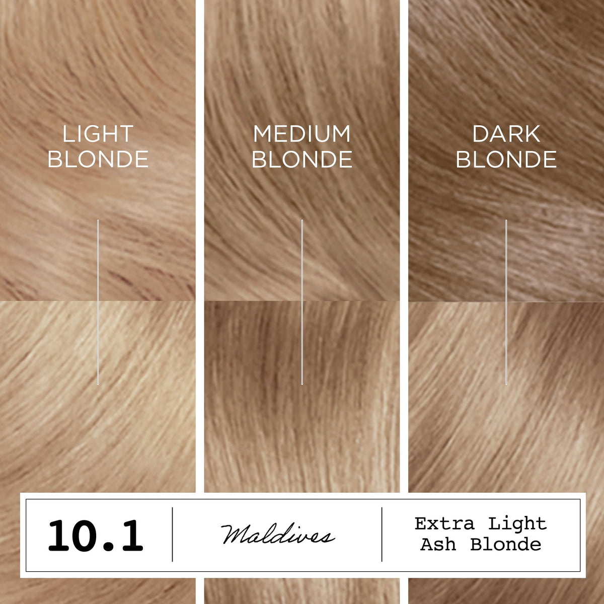 Clairol ColorStrong Teinture Capillaire Permanente 10.1 Blond Cendré Activator
