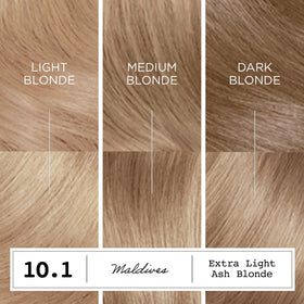 Clairol ColorStrong Teinture Capillaire Permanente 10.1 Blond Cendré Activator