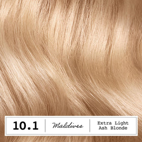 Clairol ColorStrong Teinture Capillaire Permanente 10.1 Blond Cendré kit complet avec gants