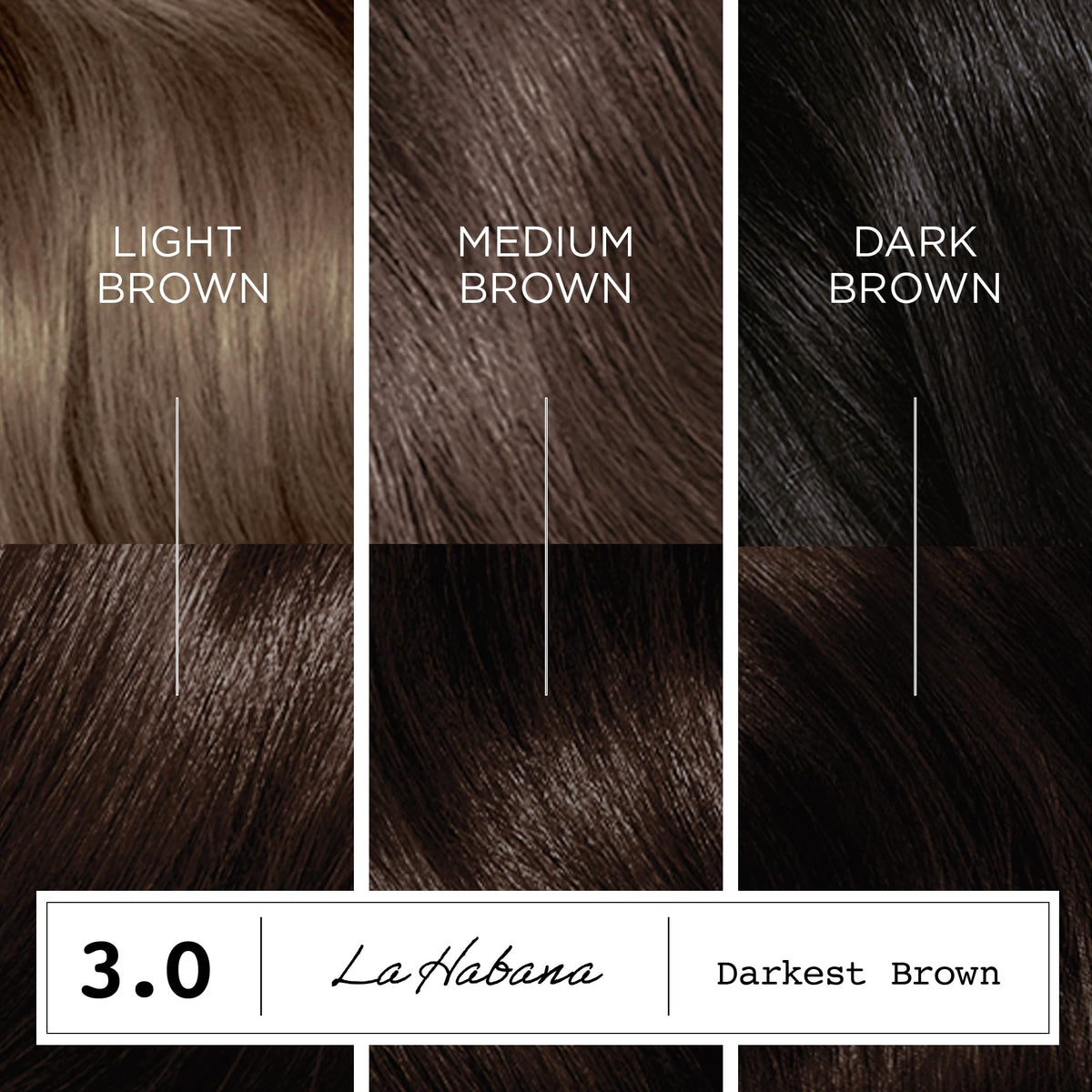 Clairol ColorStrong Teinture Cheveux teinte La Habana