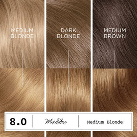 Clairol ColorStrong Teinture Permanente 8.0 Blond Moyen, traitement de liaison avec AHA