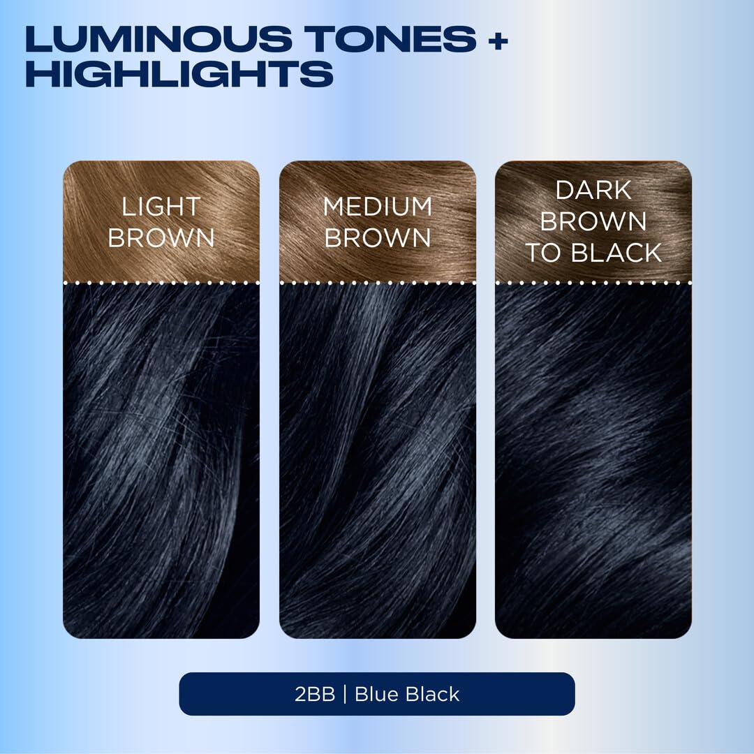 Clairol Nice'n Easy 2BB Noir Bleu, instructions d'utilisation