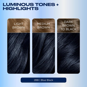 Clairol Nice'n Easy 2BB Noir Bleu, instructions d'utilisation