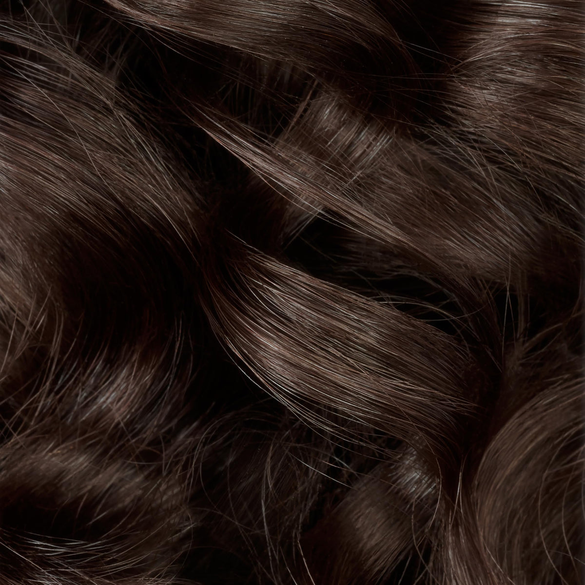 Clairol Professional Crème Permanente 66g application sur cheveux