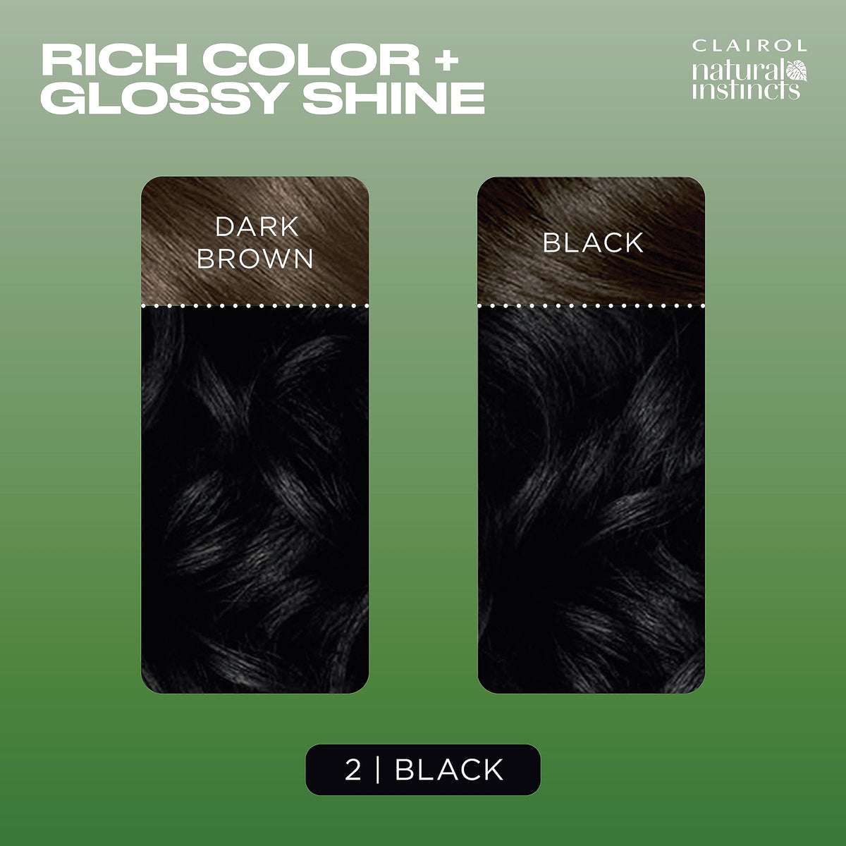 Clairol Teinture à Cheveux 2 Noir avec après-shampooing brillant