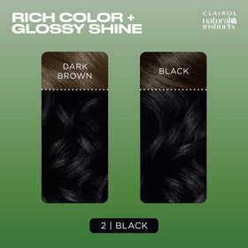 Clairol Teinture à Cheveux 2 Noir avec après-shampooing brillant