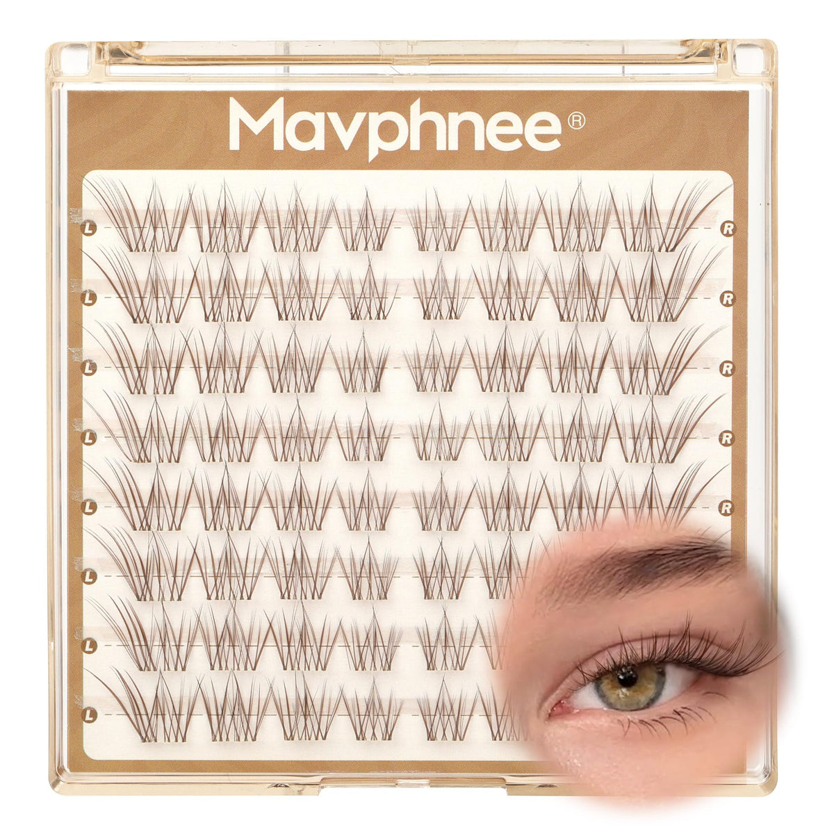 Clusters de cils bruns Mavphnee 9-12MM avec courbure B