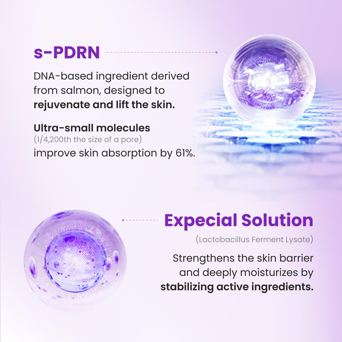 CNP Active Ampoule 1:1 PDRN 30ml en utilisation sur la peau