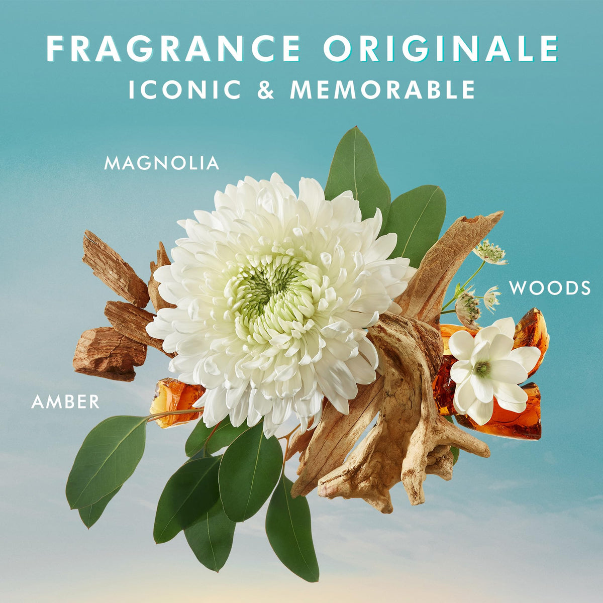 Coffret Moroccanoil avec emballage élégant