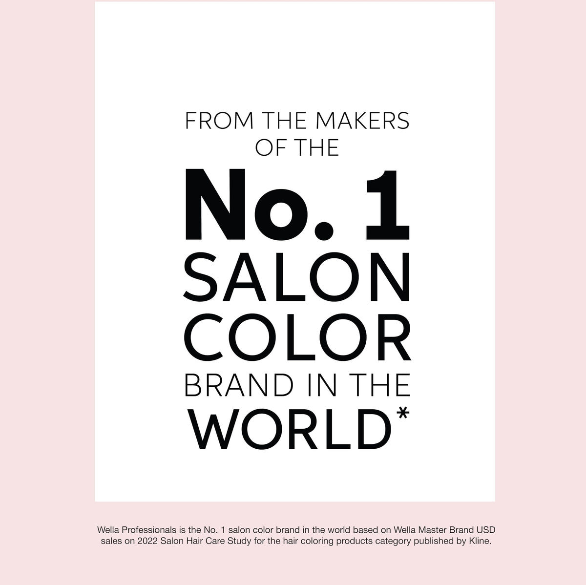 COLORCHARM Poudre Décolorante 533g avec des outils de coiffure