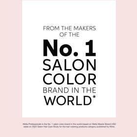 COLORCHARM Poudre Décolorante 533g avec des outils de coiffure