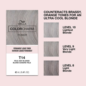 COLORCHARM Toner Liquide Permanent 60g avec échantillons de nuances