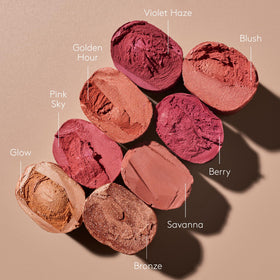 Colorescience Total Protection Color Balm SPF 50 application sur lèvres