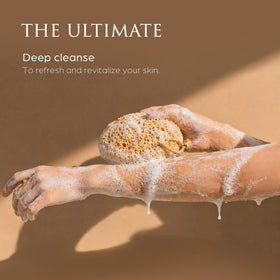 Comparaison de la mousse de l'éponge Spongentle