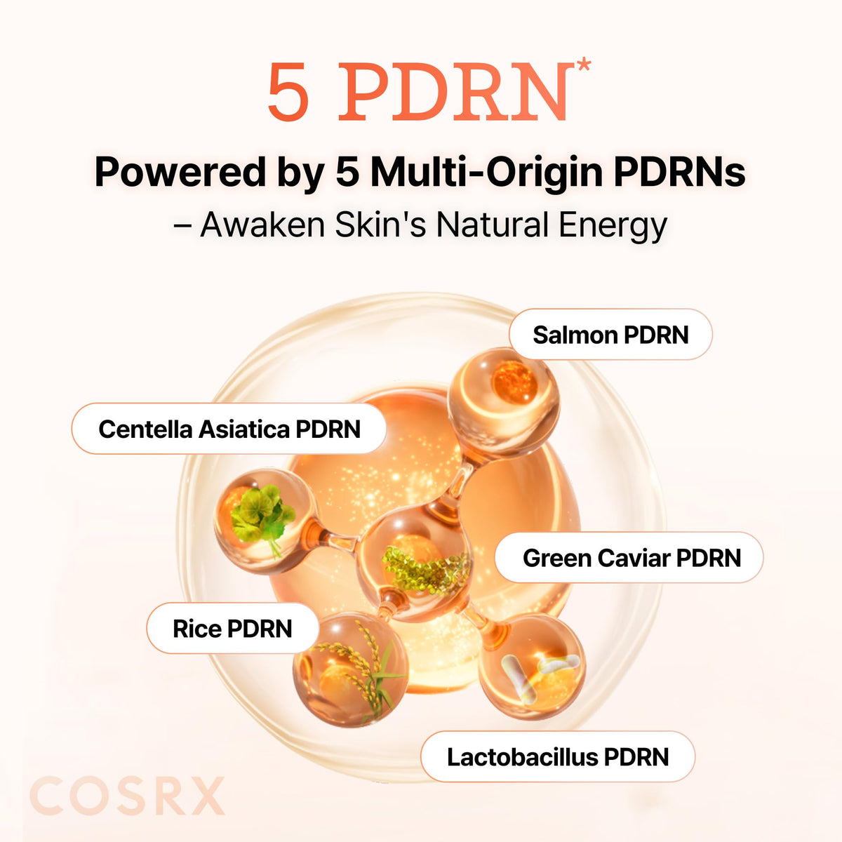 COSRX masque hydrogel PDRN détails des ingrédients