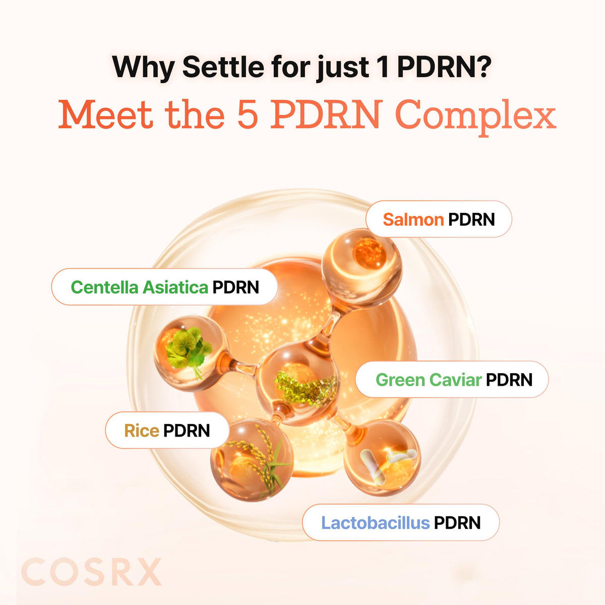 COSRX Patchs Contour des Yeux 5-PDRN avec sérum visible