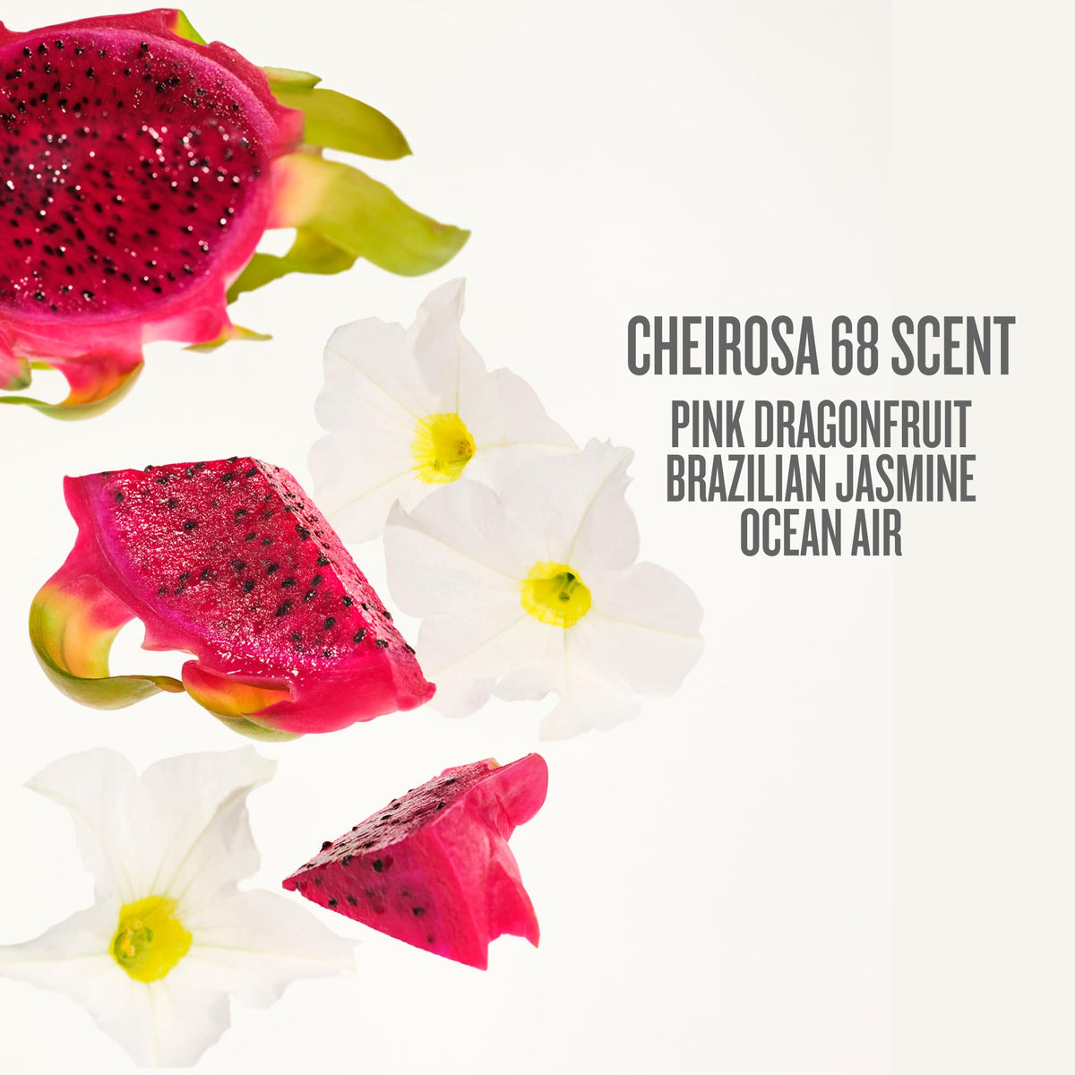 Crème Beija Flor Elasti-Cream sur un fond naturel