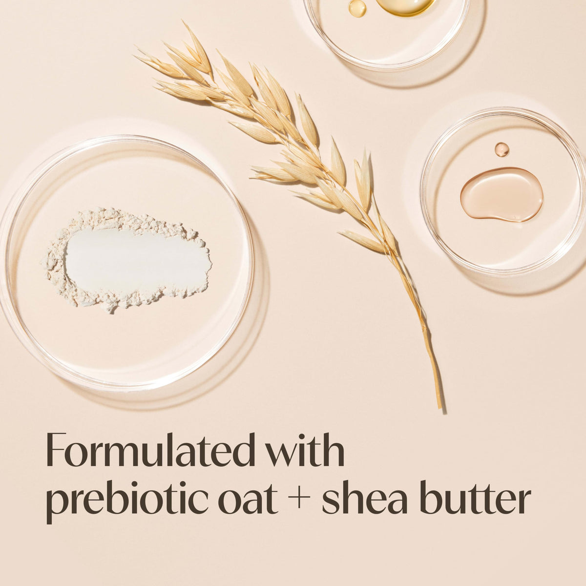 Crème hydratante Aveeno sur une table avec des plantes