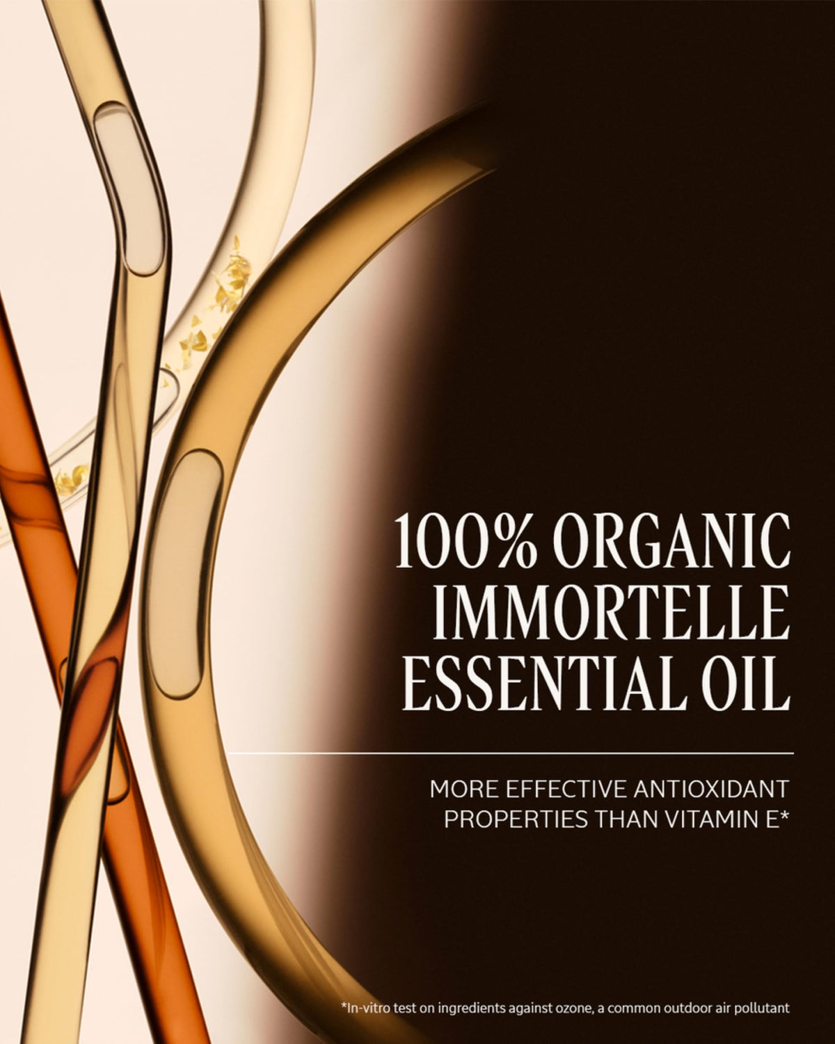 Crème Visage Immortelle Divine L'OCCITANE sur une table