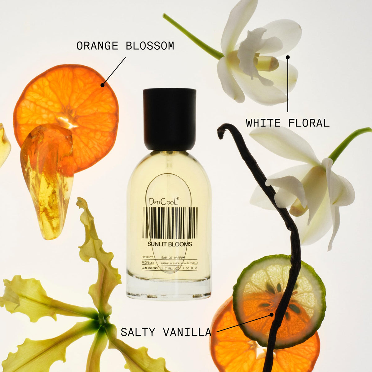 DedCool Eau de Parfum Sunlit Blooms avec fleurs blanches en arrière-plan