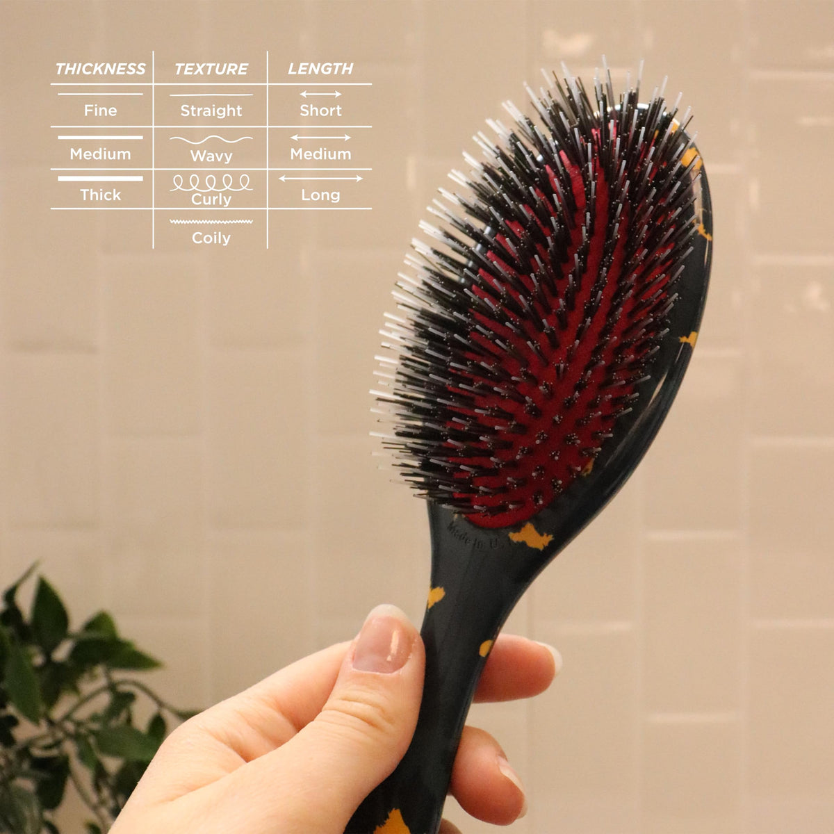 Démonstration d'utilisation de la brosse Denman D81M sur des cheveux bouclés