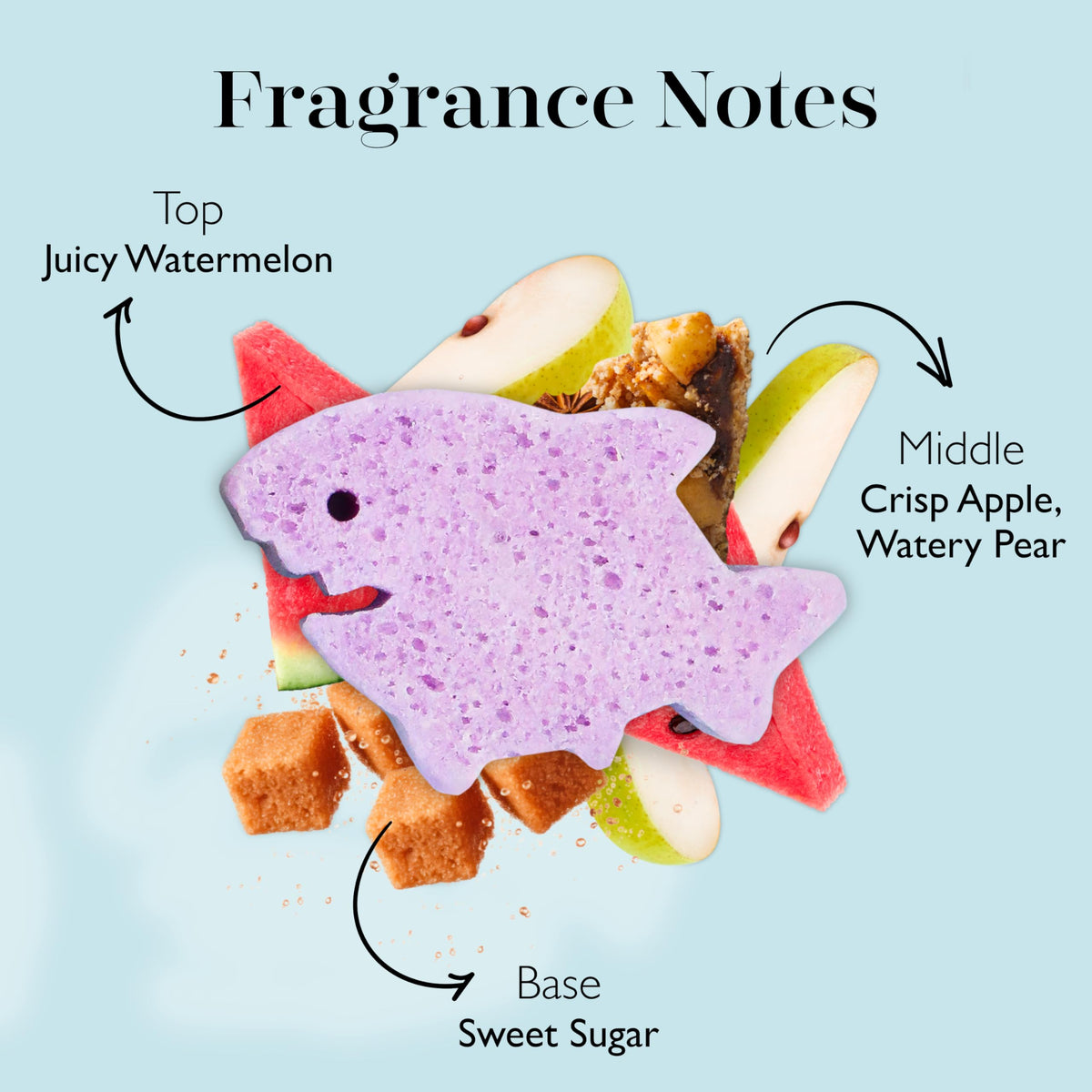 Détail de l'éponge de bain Sammy Shark