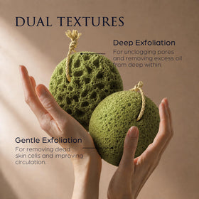 Détail de l'éponge loofah Spongentle avec texture double