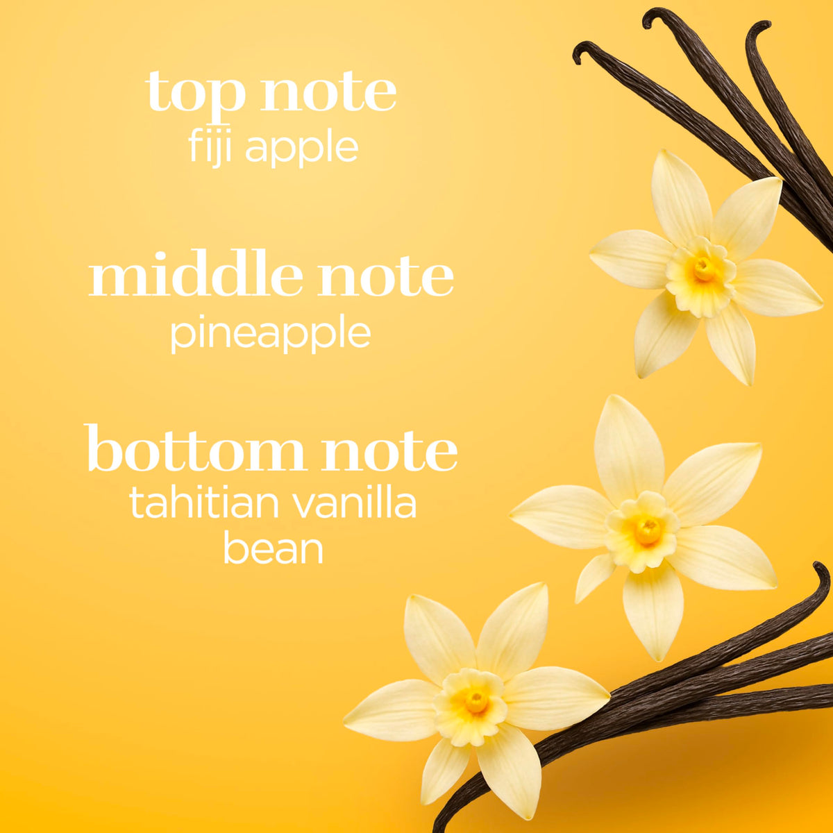 Détail de la pompe de la brume parfumée Body Fantasies Vanille