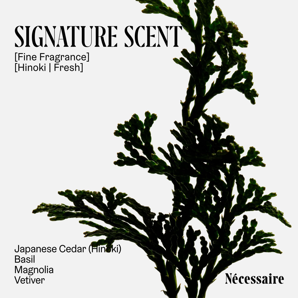 Détail de la texture du déodorant Hinoki Nécessaire