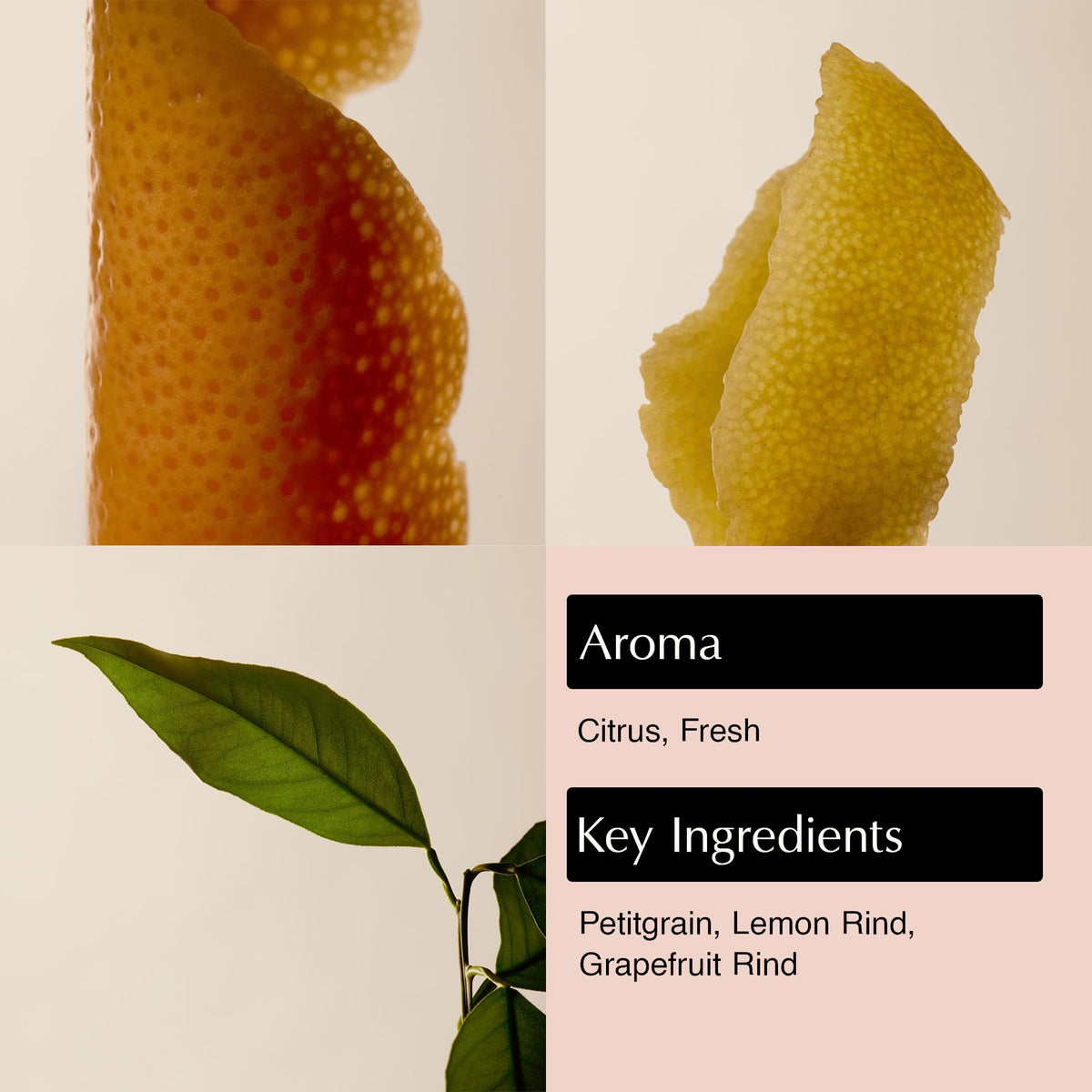 Détail de la texture du gel douche Aesop Citrus Melange