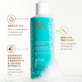 Détail de la texture du shampooing Moroccanoil Réparation Hydratation