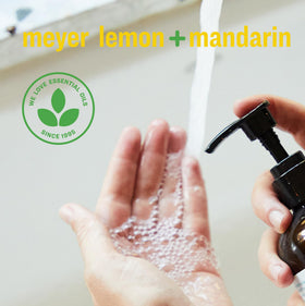 Détail des ingrédients du savon liquide pour les mains Citron Meyer et Mandarin