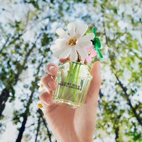 Détail des notes de parfum de Marc Jacobs Daisy Wild