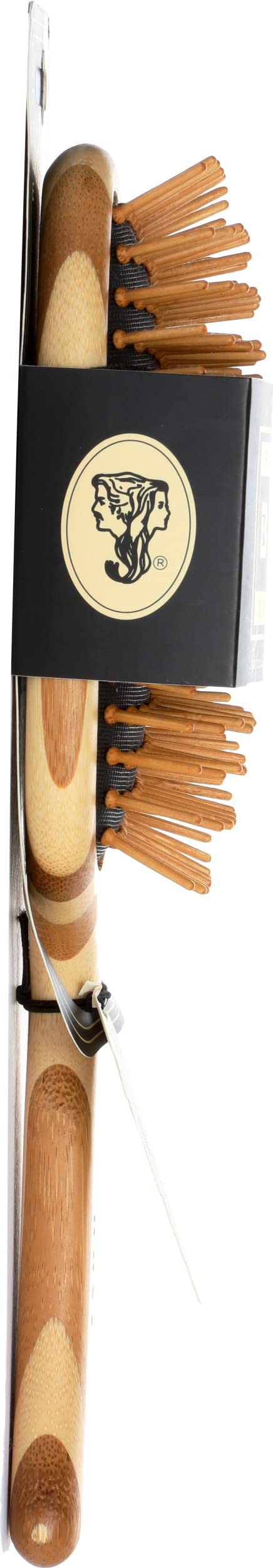Détail des poils en bois de la brosse Bass
