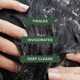 Détail du bouchon du Shampooing Spécial Tea Tree