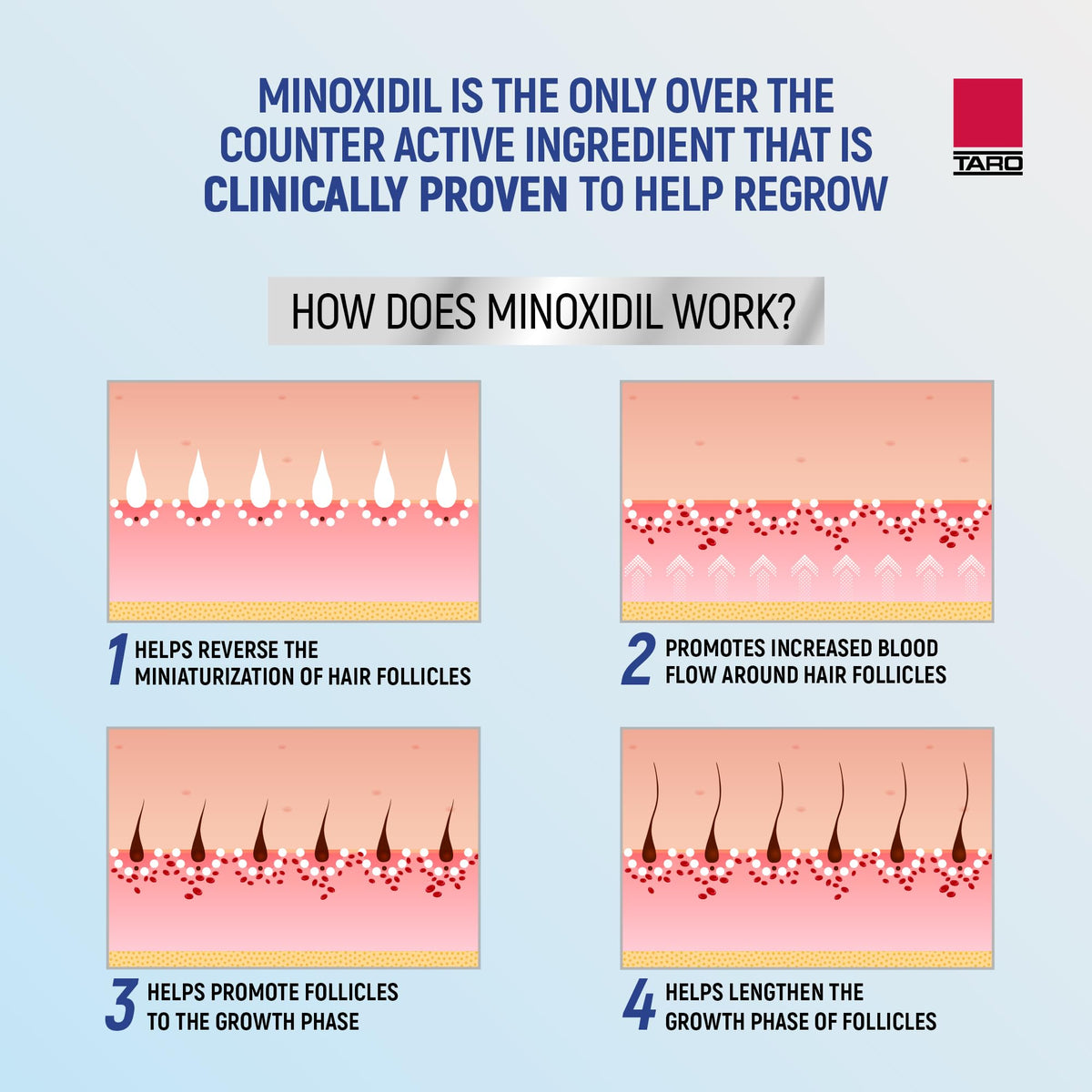 Détails de l'étiquette de TARO Minoxidil 5%