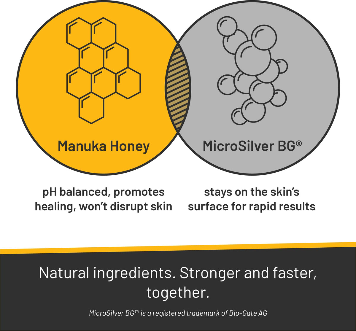 Détails de l'étiquette du Shampooing Silver Honey, ingrédients clés