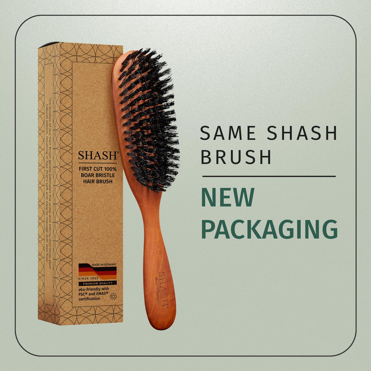 Détails de la brosse SHASH montrant les poils de sanglier
