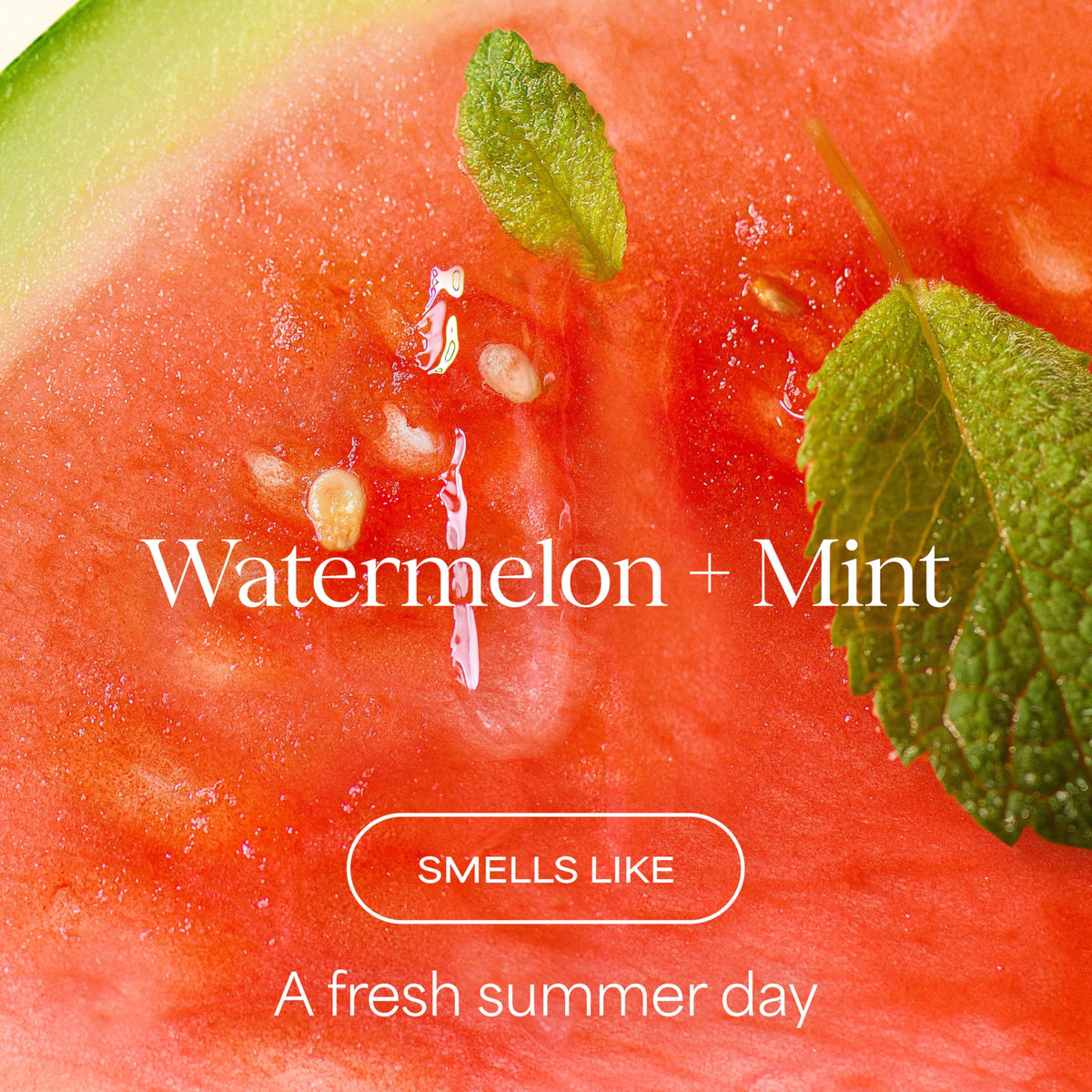 Détails de la texture du gel douche RAW SUGAR Melon Menthe