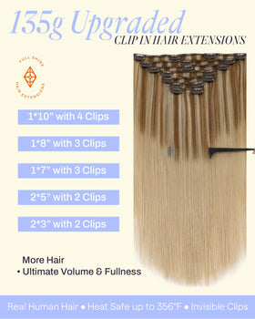 Détails des clips en acier inoxydable des extensions Full Shine