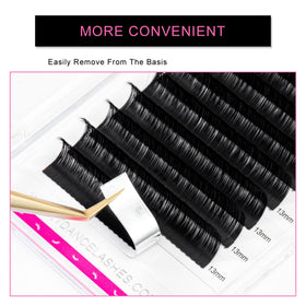 Détails des extensions de cils TDANCE avec variétés de longueurs