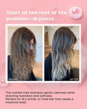 Détails des ingrédients du Shampooing ALFAPARF MILANO