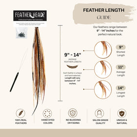 Détails des plumes de coq utilisées pour les extensions Feather Headz