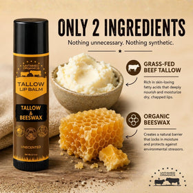 Détails du baume à lèvres Untamed Organics avec ingrédients visibles