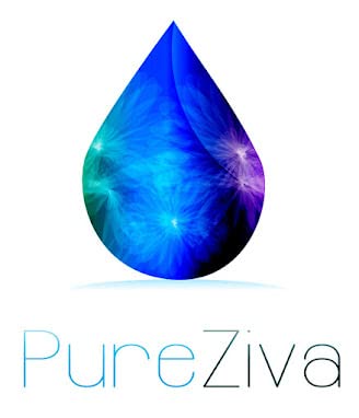 Détails du fard à paupières Bronze Éclat Pure Ziva