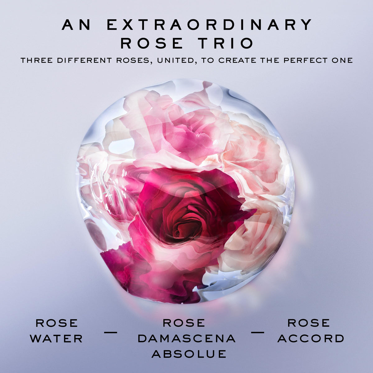 Détails du flacon de Lancôme La Vie Est Belle Rose Extraordinaire