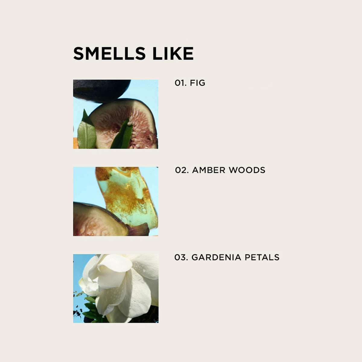 Détails du flacon de parfum By Rosie Jane avec étiquette