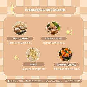 Détails du flacon de shampooing L LUSETA Eau de Riz