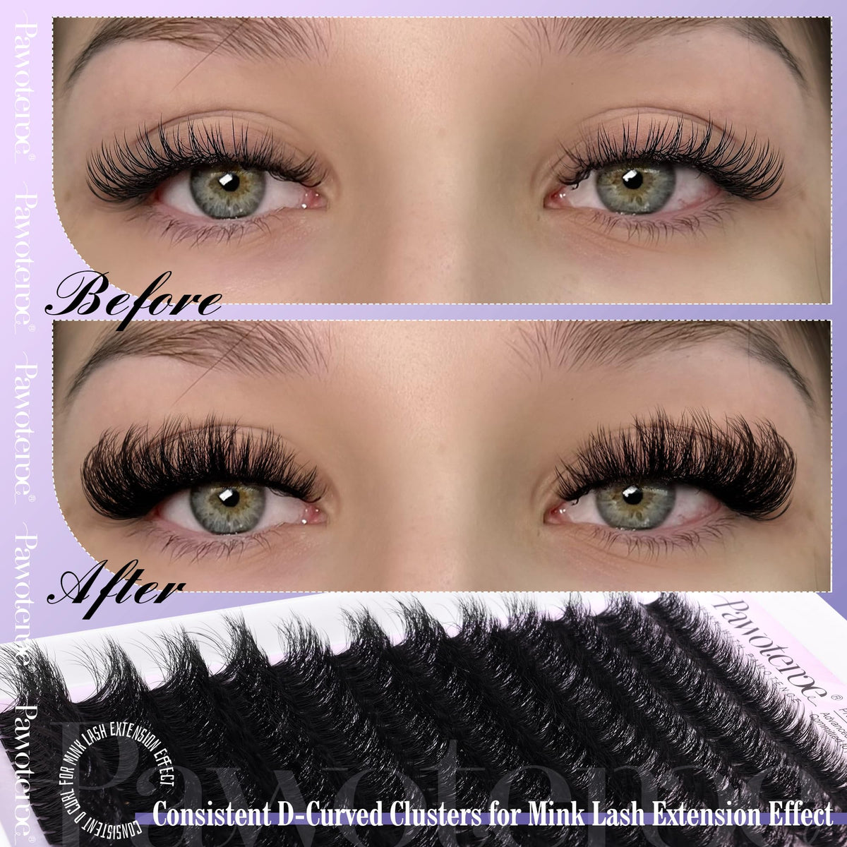 Détails du kit d'extensions de cils Pawotence
